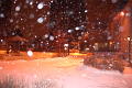 photo-snowy-storm-starts